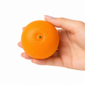 Crunchy Squishy - Orange Crunchy Squishy - ASMR Crunchy Office Stress Relief Desk Ornament, Adult Sensory Squeeze Gift, Firm Texture for Medium & Strong Grip